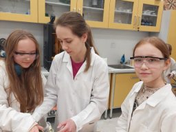 b_1024_768_0_00_images_2023_2024_Swiniuch_Klasy5CNL_410643422_820445229883427_1072395232363643811_n